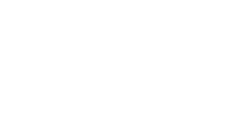 GUIDE